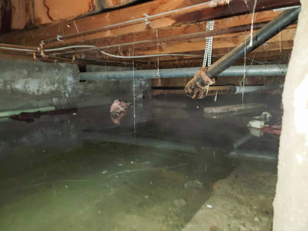 Best 24-hour water damage restoration  in Grottoes, VA