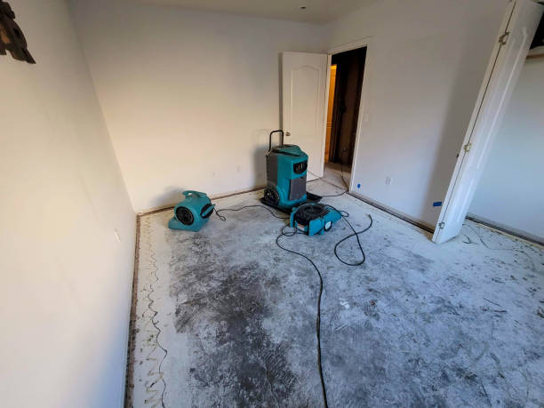 Best Ceiling water damage repair  in Grottoes, VA
