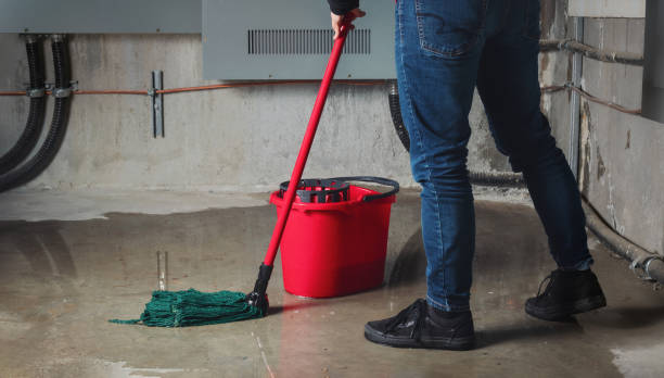 Best Water damage restoration process  in Grottoes, VA