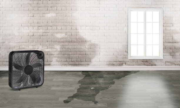 Best Ceiling water damage repair  in Grottoes, VA